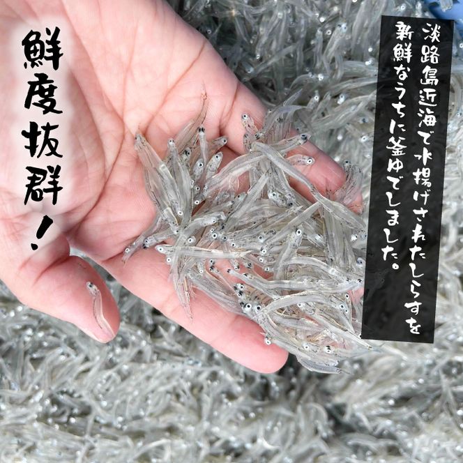 【訳あり】淡路島・藤本水産 しらす釜揚げ 業務用サイズ1kg入り　訳あり