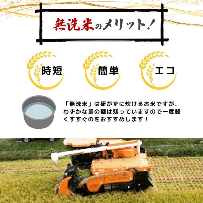 【令和8年産 新米予約】【無洗米】秋田県産特別栽培米ササニシキ5kg×1袋 新米 お米 おこめ 精米特別栽培米