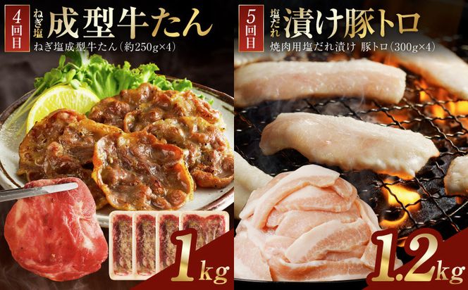 099Z608 アキラ商店 肉三昧 わくわく 定期便 全5回【毎月配送コース お楽しみ 焼肉 ていきびん 焼くだけ 小分け BBQ やきにく 数量限定】