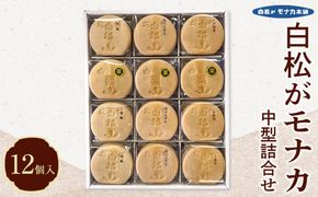 白松がモナカ 中型詰合せ 12個入【モナカ 和菓子 詰め合わせ 仙台銘菓 白松がモナカ 中型詰合せ ふるさと納税 仙台市 名物菓子】 041009_AR001