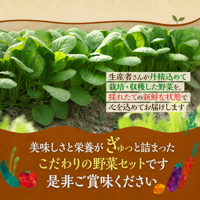 野菜 とれたて 季節の野菜 パック 8品前後 詰め合わせ セット 野菜セット 旬の野菜 旬 野菜詰め合わせ 野菜詰め合わせセット 産地直送 送料無料 たまねぎ にんじん じゃがいも ほうれん草 トマト キャベツ しいたけ 大根 白菜 冷蔵 静岡