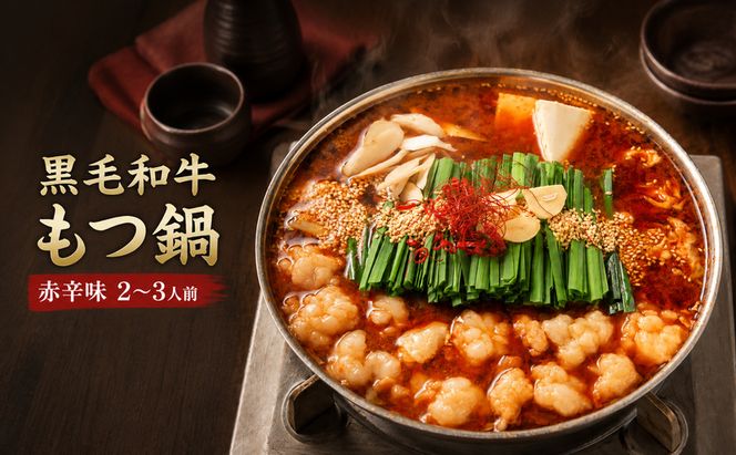 黒毛和牛もつ鍋 赤辛 2～3人前セット (味噌味) ※配送不可：離島 お肉 牛肉 鍋セット モツ鍋 