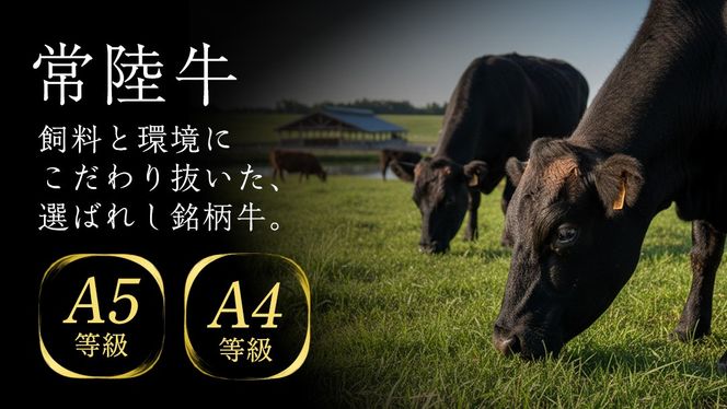 【常陸牛】すき焼き しゃぶしゃぶ用 ( 赤身 450g )( 霜降 400g ) 食べ比べ セット ( 茨城県共通返礼品 ) 牛肉 国産 お肉 肉 すきやき すきやき肉 A4 A5 ブランド牛 黒毛和牛 和牛 国産黒毛和牛 国産牛 [BM048us]