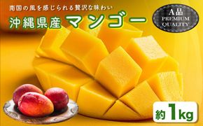 ハナトフルーツ 沖縄県産マンゴーA品 １ｋｇ【 先行予約 2026年発送 】