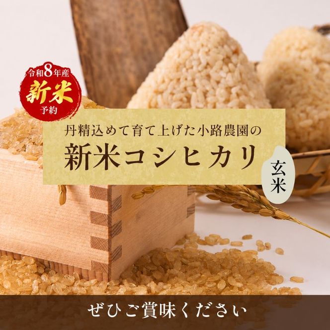 令和8年産　新米「コシヒカリ」10kg（玄米）  お米 10kg 
