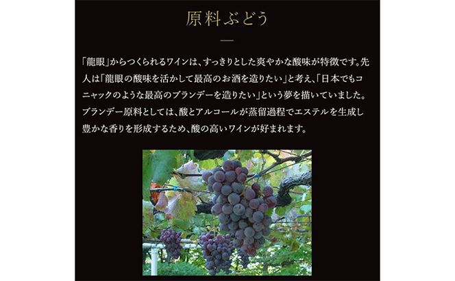 ソラリス ブランデー 龍眼 1989 700ml×1本 7月下旬から発送予定 マンズワイン ご当地 取り寄せ お酒 アルコール 長野県 小諸市　