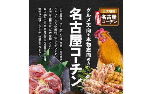 【6ヶ月定期便】名古屋コーチン卵(30個入り)×6回（計180個） [006K03-T]