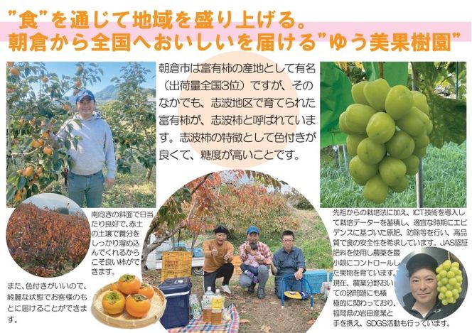 2026年先行予約 葡萄 ピオーネ 1～3房 約1kg 数量限定 ゆう美果樹園 ※配送不可：離島