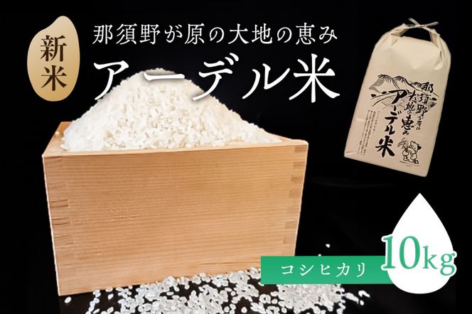 ns061-001 【令和6年産米】那須野が原の大地の恵み アーデル米（コシヒカリ10kg）＜出荷開始：2024年10下旬～＞