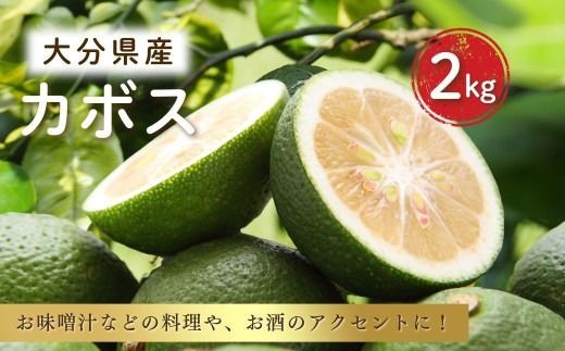 [カボス] 大分県産カボス 2kg 8月~9月発送 柑橘 かぼす 料理 調味料 香酸柑橘 調味用柑橘 隠し味