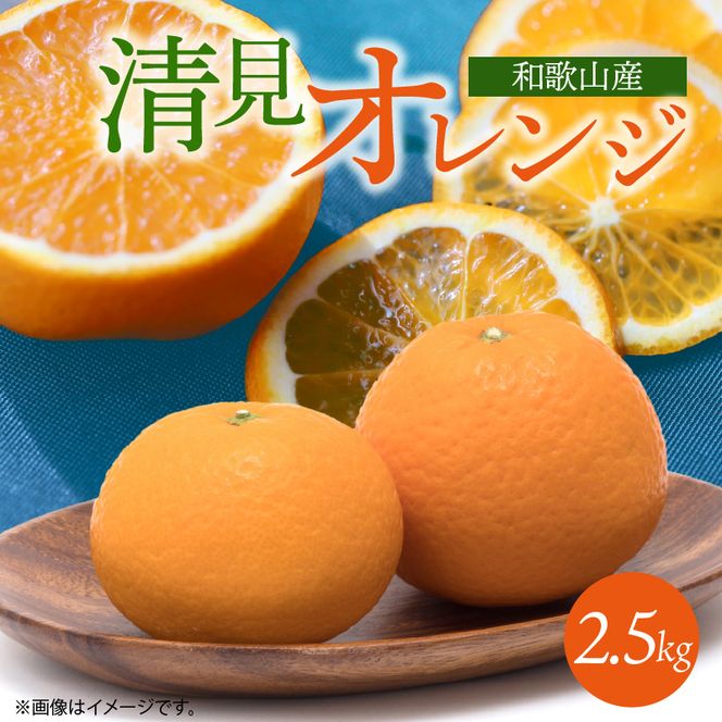 G7328_【2027年先行予約】とにかくジューシー 清見 オレンジ 2.5kg フルーツ 果物 柑橘 果実 甘い 果汁 ジューシー コク 柑橘の親 国産 食品 食べ物 魚鶴商店 平成の三大柑橘 お取り寄せ 和歌山県 湯浅町 送料無料