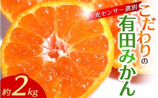 [12月発送] こだわりの有田みかん 約2kg[ご家庭用]光センサー選別品 農家直送品 ※北海道・沖縄・離島配送不可 / みかん 有田みかん 温州みかん 柑橘 果物 くだもの フルーツ 有田 和歌山 和歌山県産 産地直送 [nuk159-12A]