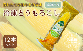 ＜ささや農園産 極★凍結とうもろこし 12本＞北海道 道産 国産 乙部町 とうもろこし とうきび 冷凍 急速冷凍 鮮度そのまま 甘さ 糖度 個包装 ゴールドラッシュ 恵味ゴールド