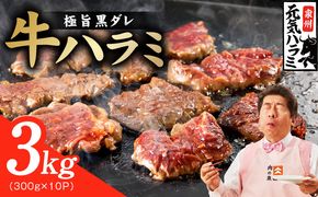 030D278 【新登場】極旨黒ダレ 牛ハラミ肉 3kg（300g×10P）【牛肉 はらみ 小分け 焼肉 お弁当 BBQ 訳あり ワケアリ わけあり サイズ不揃い 規格外 TVで話題】