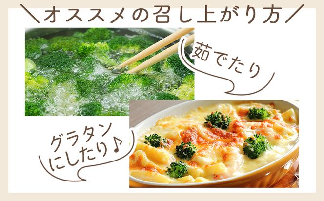 【2025年11月末以降発送】ブロッコリー ２ｋｇ 家庭用 yr-0087