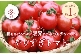 【先行予約】やりすぎトマト（4パック計約1kg）（冬季）（2026年12月上旬以降発送）　DE00172