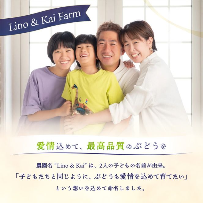 【2026年先行予約】 【訳あり】 Lino＆Kai Farmのシャインマスカット 3房前後(2kg前後）化粧箱入 ぶどう 岡山 真庭市 シャインマスカット 訳あり品 果物 産地直送 数量限定 種なし 【linokai013-01】