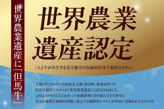 【訳あり 但馬牛 焼肉ミックス 1kg】冷凍 配送日指定不可 黒毛和牛 ルーツ 香美町 産地直送 国産 牛肉 ステーキ しゃぶしゃぶ すき焼き バーベキュー キャンプ 焼肉 和牛 ふるさと納税 おすすめ 返礼品 但馬 神戸 兵庫県 香美町 村岡 牛将 村岡ファームガーデン 17000円 TJM WKA 02-40