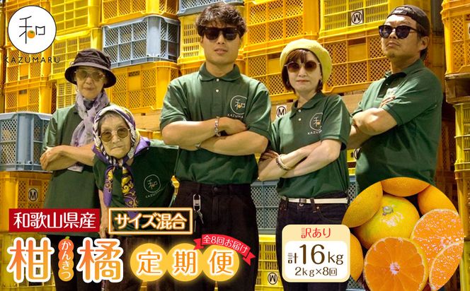 ［定期便］森本農園の手選別 訳あり柑橘定期便 約2kg サイズ混合 和歌山県産 ［北海道・沖縄・離島配送不可］［2026年10月～2027年5月まで全8回お届け］ ［RN170］ 303446_DJ90170