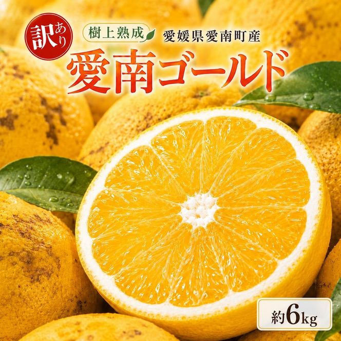 木成り 追熟 訳あり 愛南ゴールド 約6kg 河内晩柑 柑橘 フルーツ 果物 蜜柑 みかん くだもの mikan 家庭用 傷 不揃い 樹上 熟成 サイズミックス かわち ばんかん かんきつ 和製 グレープフルーツ デザート 果実 果汁 甘い ジューシー おいしい 特産品 国産 農園 直送 産地 直送 資格 大学 イノベーター エニシトラス 愛媛県 愛南町 