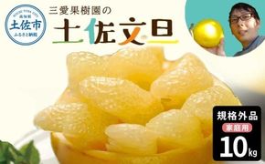 【先行予約】文旦 約10kg 10キロ L～4Lサイズ 土佐文旦 みかん 柑橘 ぶんたん ブンタン 果物 フルーツ デザート おやつ 三愛果樹園の土佐文旦 おいしい 美味しい 規格外品 お取り寄せ 常温 配送
