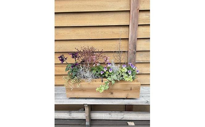 手作り木製プランターセット《園芸 ガーデニング 木製 家庭菜園 雑貨 日用品 野菜 花壇》