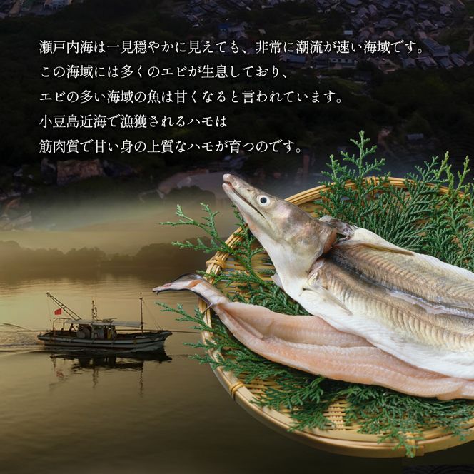 【 小豆島 】 小豆島産 鱧 100％使用！小豆島鱧すり身250g×3袋セット 加工食品 魚 すり身 ハモ ミンチ 香川 香川県 土庄 土庄町