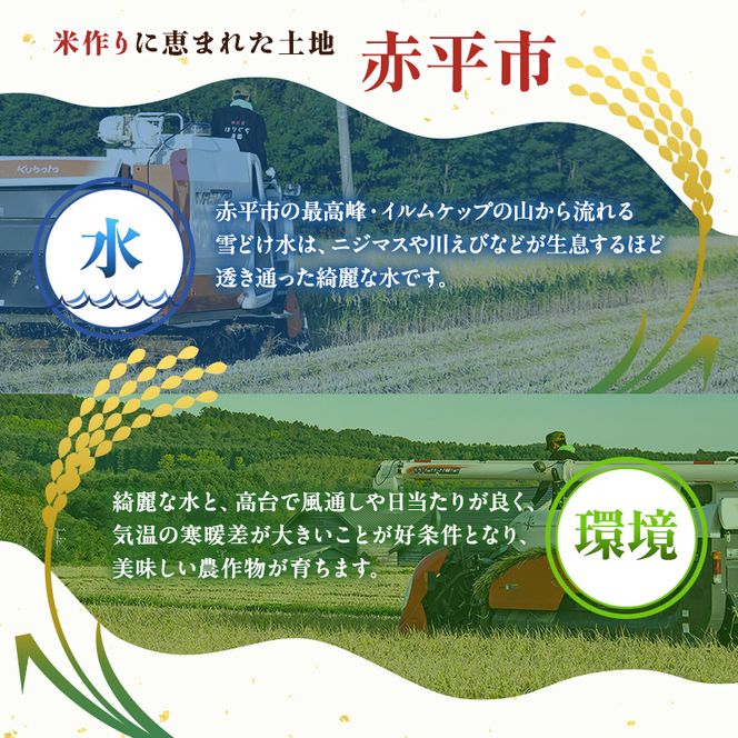 【3ヶ月定期便】北海道赤平産ゆめぴりか10kg 令和8年産 先行予約 先行受付 精米したて直送 5kg 2袋 米 白米 精米 定期便 北海道 赤平市