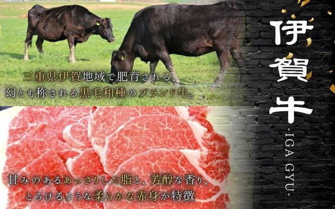 伊賀牛 ヒレ焼肉用 600g 【gzit0004】