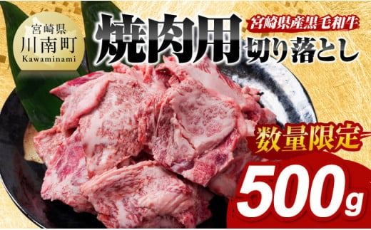 【数量限定】宮崎県産黒毛和牛　焼肉用切り落とし500g 【 牛肉 国産 宮崎県産 宮崎牛 BBQ 】[D11303]