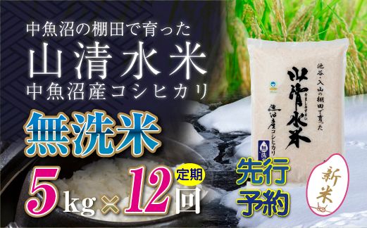 【令和8年産 先行予約】【定期便／全12回】無洗米5kg 新潟県魚沼産コシヒカリ「山清水米」