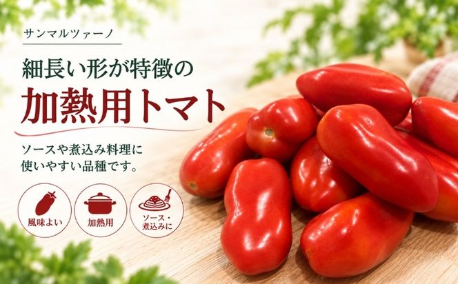 【2027年先行予約】山梨県都留市産 加熱用トマト サンマルツァーノ 約1kg