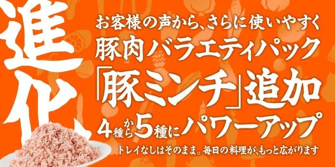 ＜1回配送＞ 豚肉 バラエティーパック (合計4kg) 豚バラ しゃぶしゃぶ 鍋 とんかつ ロース 小分け 個包装 豚こま 小間切れ スライス ミンチ 5種 セット 詰め合わせ 冷凍 食べ比べ 国産 大分県 佐伯市【BD325】【西日本畜産】
