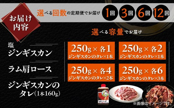 塩ジンギスカン250g ラム肩ロース250g セット 選べるパック数 各 1 / 2 / 4 / 6 パック 回数 1回 / 3回 / 6回 / 12回 MROA284-v