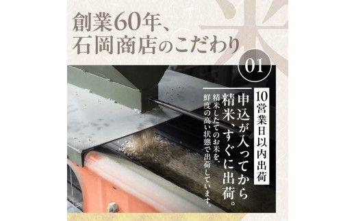 令和7年産 北海道産 ななつぼし 5kg【定期便6回】_Y138-0033