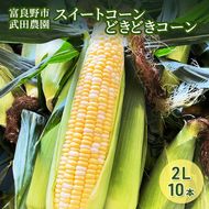2026年夏発送 ［武田農園とれたて直送］スイートコーン どきどきコーン 2L 10本 北海道 富良野産 とうもろこし 野菜 新鮮 とうきび 甘い 産地直送 先行予約 限定