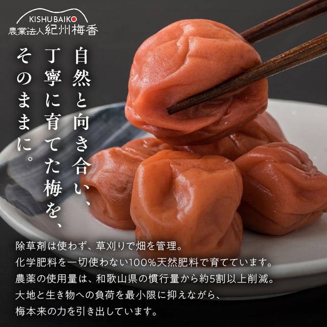 KS1000_梅干し 訳あり減塩梅干 塩分3% 約1kg
