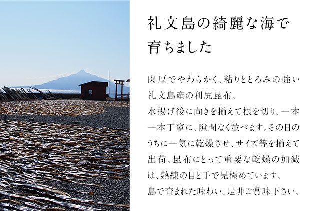 北海道礼文島産 利尻昆布 140g×3 魚貝類 こんぶ 海藻 のり 