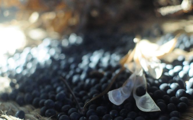 黒大豆 小豆 セット KURO 丹波黒 2本 AKA 丹波大納言小豆 食べ比べ ten 国産 豆 マメ だいず ダイズ くろだいず あずき アズキ 黒豆 くろまめ 野菜 産地直送 おやつ 健康 おつまみ つまみ お正月 食べ比べセット 兵庫県 兵庫