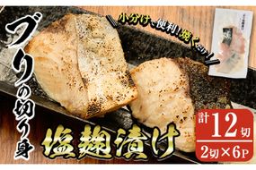 NO.53 青とオレンジの花模様の大きい深皿　3組 NO.53 青とオレンジの花模様の大きい深皿 3組 NO.53