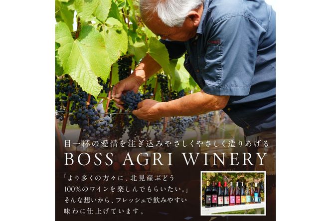 北見産ぶどう100％のワイン 桜夢雫 緋色ロゼ ( ワイン 国産 ブドウ ロゼ 辛口 750ml )【075-0009】