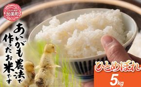 令和8年産 特別栽培米 あいがも農法でつくったひとめぼれ 5kg | [カメイ 宮城県 加美町] お米 こめ コメ 精米 白米 特別栽培米 あいがも農法 | km-ag-hb05-r8