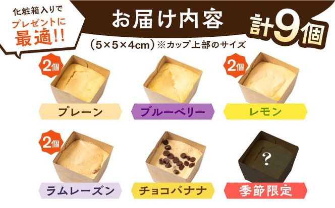 【種類豊富な詰め合わせスイーツ】チーズケーキ 6種 9個セット / ちーずけーき おしゃれ お菓子 贈り物 おやつ ギフト お取り寄せ 人気 誕生日 個包装 / 南島原市 / Hand Made Cake WISSH[SCF002]