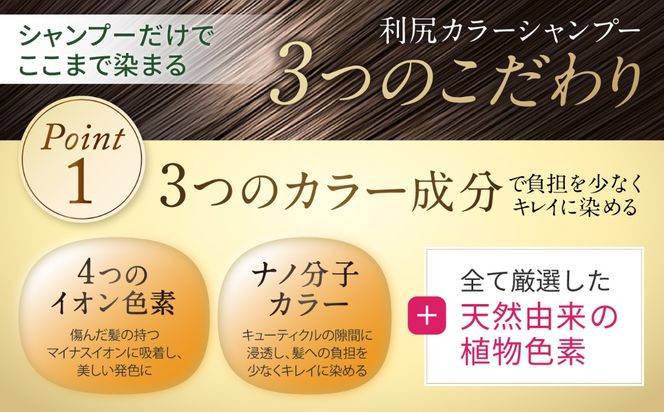 【2本入】［白髪用］ 利尻カラーシャンプー 大容量サイズ 糸島市 / 株式会社ピュール ヘアケア シャンプー [AZA066] シャンプー 白髪染め カラーシャンプー 無添加 ノンシリコン 大容量