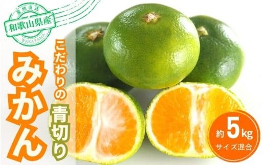 【2026年秋頃発送予約分】こだわりの青切りみかん　約5kg 有機質肥料100%　 サイズ混合　※2026年9月～10月に順次発送予定（お届け日指定不可）【nuk150D】