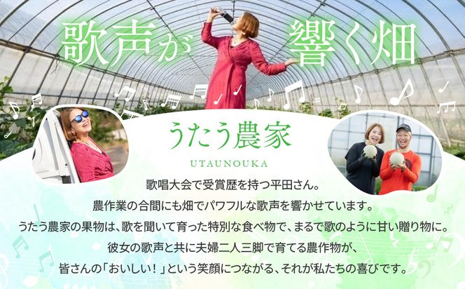 【先行予約】956.【ふるさと納税】青肉メロンディーバと赤肉メロンプリモレッドのセット ※日本全国配送可能  2026年10月上旬頃～11月上旬頃に順次発送予定 313726_BQ012