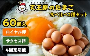 【定期便】4回定期【天王原のたまご】 サクセス卵30個/ロイヤル卵30個 【4回定期便 セット たまご 卵 玉子 タマゴ 濃厚 食べ比べ ハリ 弾力 ボリューム 甘味 旨味 卵黄 風味 生 コク 甘味 卵かけご飯 卵焼き 目玉焼き オムレツ 茶碗蒸し お菓子作り パンの材料】