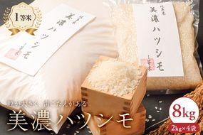2025年産米　美濃ハツシモ　1等米8kg（2kg×4袋）　【0021-007】