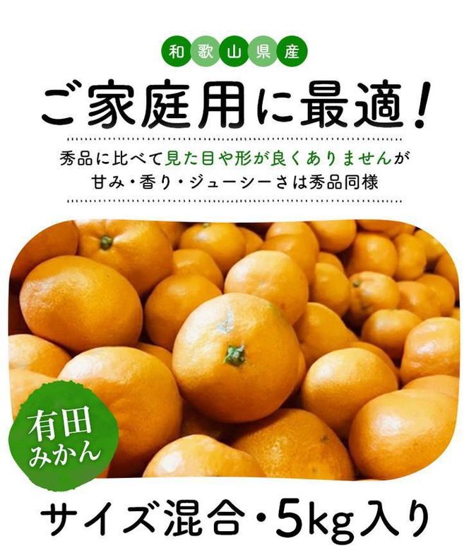［先行予約］ご家庭用 完熟 有田みかん 5kg［2026年12月発送予定］訳あり 農家直送［MS31-2］ 303446_XD96098
