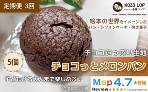 1172.【定期便3ヶ月】鳥取県産 チョコたっぷり生地 チョコっとメロンパン 5個×3回 313726_BD053
